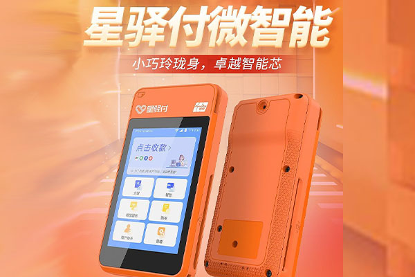 武定国通微电签POS机